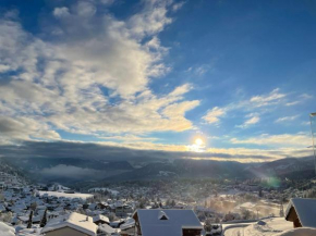 Ferienwohnung mit privater Sauna und direktem Zugang zur Skipiste